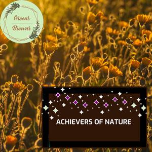 Wishful Mountain Night