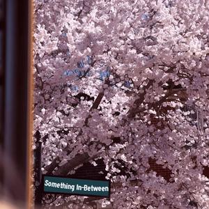 F L Y (feat. Agreya Menon)