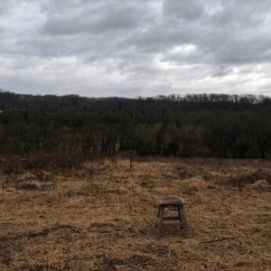 Stepping Stool For The Better You
