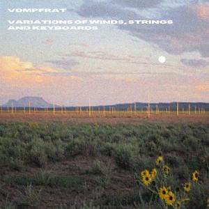 harmonically speaking for me it is a very developed piece