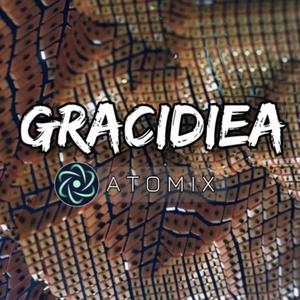 Gracidiea