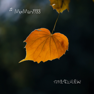 你只是嘴上说爱我！