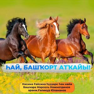 Һай, башҡорт аты . М.Нажметдинов . көйө һәм һүҙҙәре Нәсимә Ғайсина