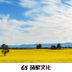 对着月亮说声我爱你