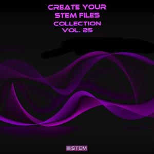 King Queen (Extended Disco House Drum Track)