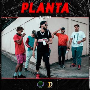 Planta (feat. YoungK66 & Wildboy)