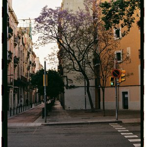 Casa En Llamas