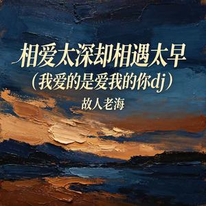 相爱太深却相遇太早（我爱的是爱我的你dj）
