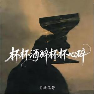 杯杯酒醉杯杯心碎 (dj默涵版)