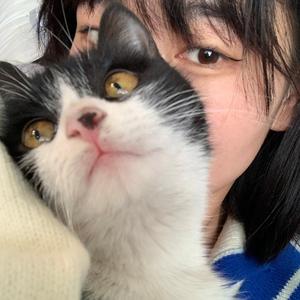 Behind the Mac-Greatness