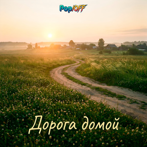 Дорога домой