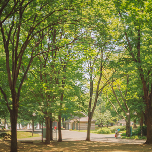 オリオンオリオン