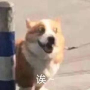 88rising-Lover boy 88现场版（爱喝乌龙 remix）