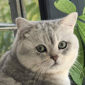 只属于你的温柔哄睡版