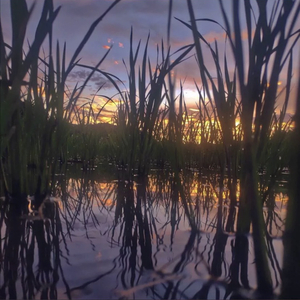 九 月 底 想 和 你 见 一 面