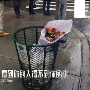 得到你的人得不到你的心