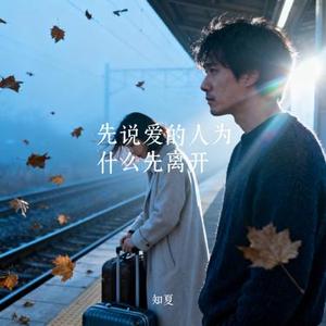 先说爱的人为什么先离开 (Cover 田园)
