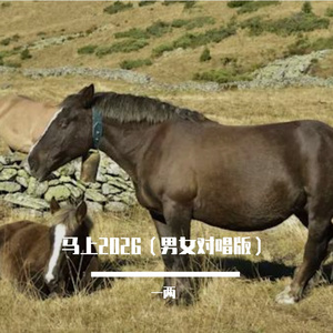 马上2026(男女对唱版)