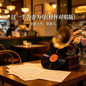 这一生为妻为母(释怀对唱版)