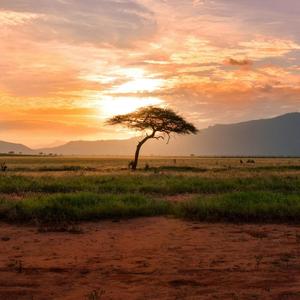NZAMBEE DEUS AFRICA