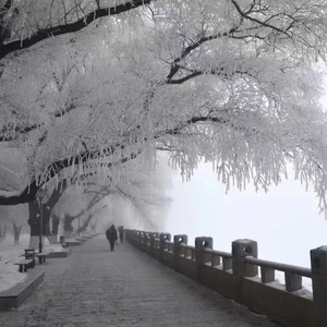 佳木斯西(Prod.tired)