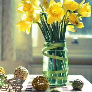 佳宁情歌 (正式版)