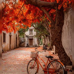 Mizhineerin November Malayalam ( Version One)