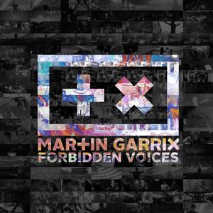 Forbidden Voices (Jake Liedo Remix)