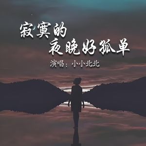 寂寞的夜晚好孤单