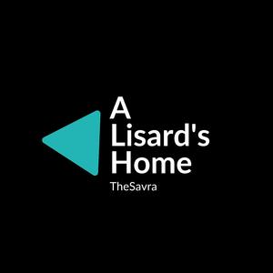 A Lisard's Home