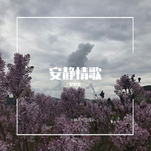 安静情歌