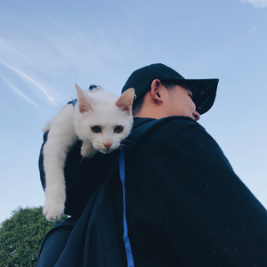 没有理想的人不伤心