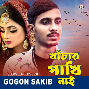 Khachar Pakhi Nai (Slowed+Reverb)