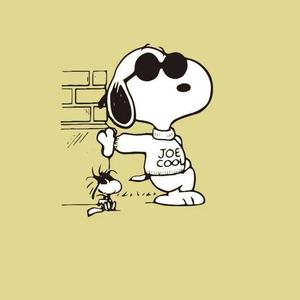 舔狗疯狂日记(freestyle）