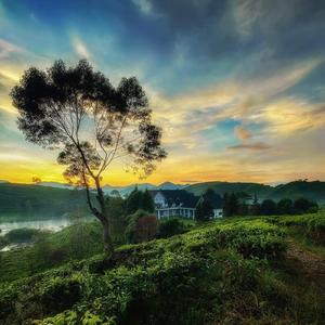 Cinta Tasikmalaya-asahan