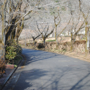 小さなうさぎ小屋Ⅲ (Part.Ⅲ)