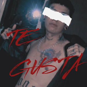Te Gusta