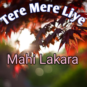 Tere Mere Liye