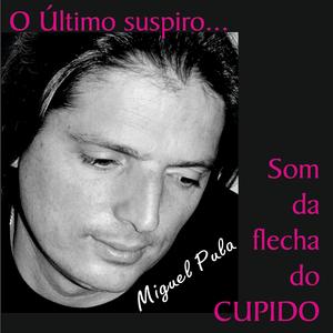 Parceira
