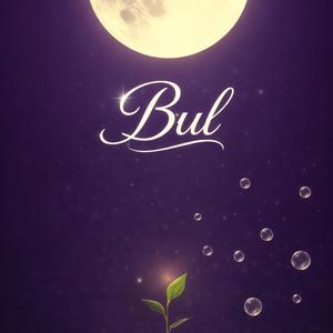 Bul (versiyon:1)