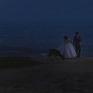 我用什么才能留住你