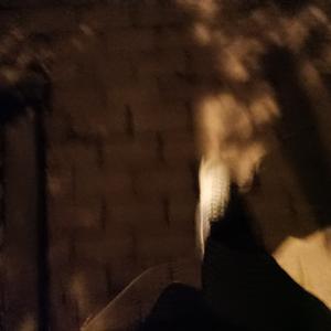 盗墓笔记.十年人间