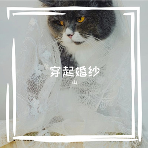 穿起婚纱 伴奏