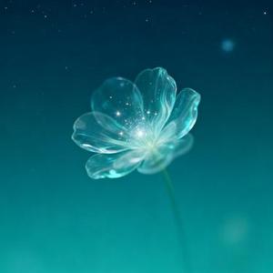 属于你的花期