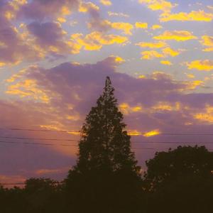 永不失联的爱（cover 单依纯）