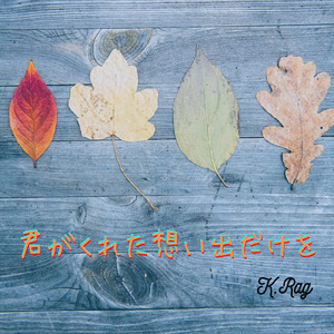 君がくれた想い出だけを