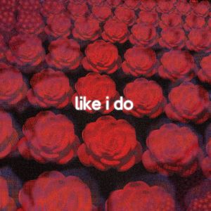 Like I Do Remix