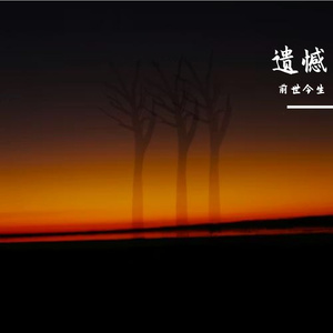遗憾