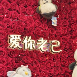 后来我们都学会了装