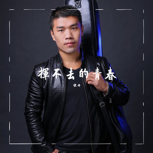 张为-挥不去的青春-《都市夜未眠》电影插曲